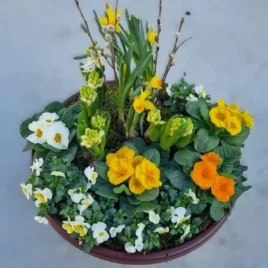 Bepflanzte Schale mit Saisonblumen